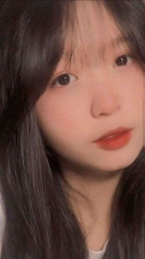 披荊斬棘第二季免費(fèi)觀看高清在線