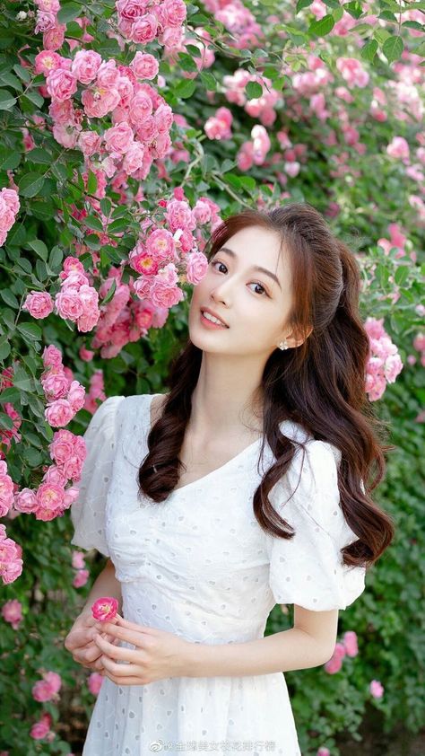 我的中尉先生接檔動漫