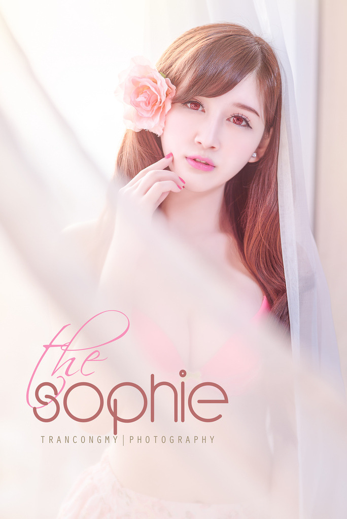女秘書2