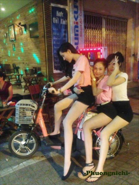 雙姝艷