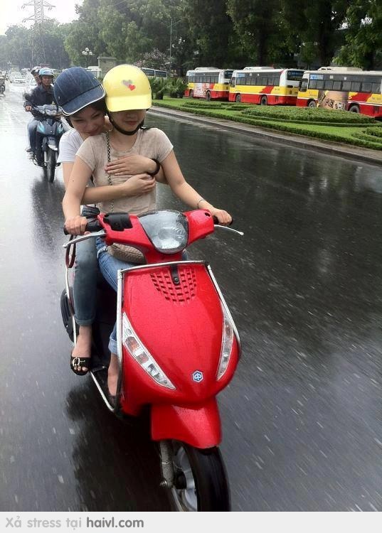 青瓷在線觀看